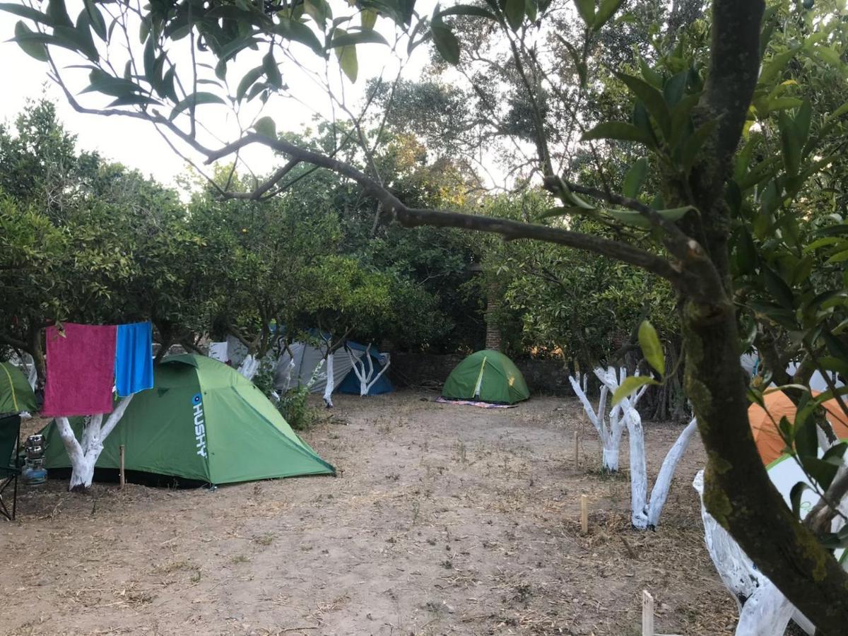 Bodrum Masali Camping ギュムシュルク エクステリア 写真