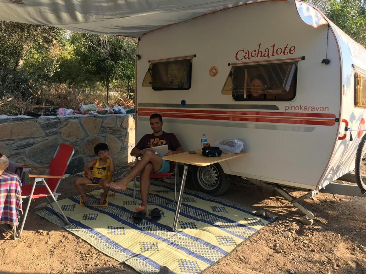 Bodrum Masali Camping ギュムシュルク エクステリア 写真